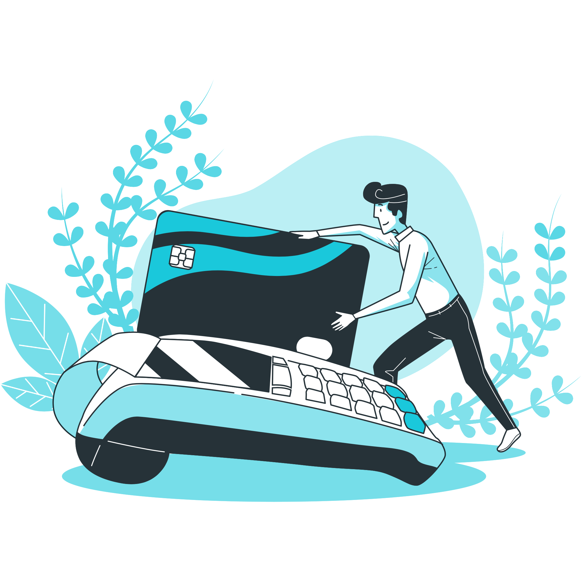 Apex Payment Solutions Apex Payment Solutions Apex Digital Labs